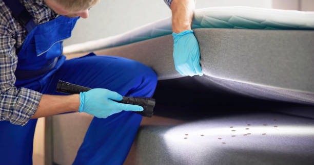 Pest Prevention Services in Fobes Hill, WA