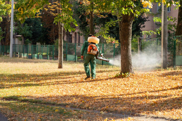 Best Emergency Pest Control  in Fobes Hill, WA